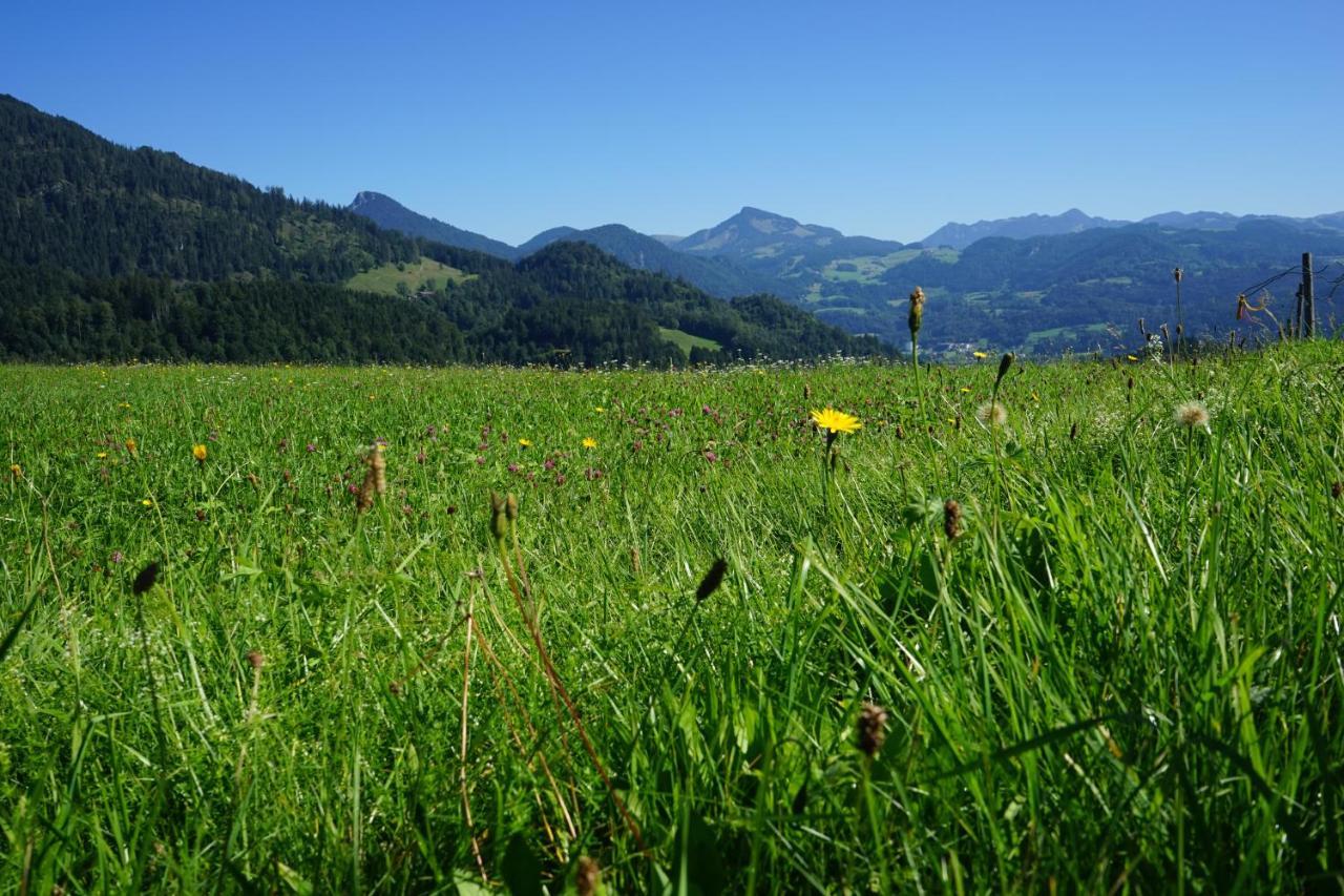 Hotel Zur Post Rohrdorf  Bagian luar foto